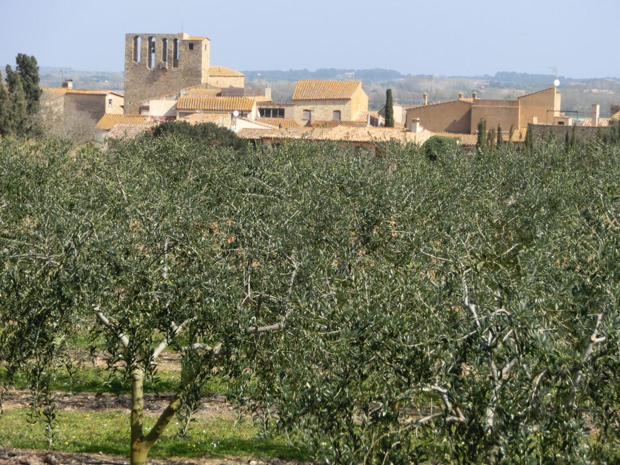 Can Barrull-Costa Brava-Emporda Sant Feliu de Boada Exterior foto