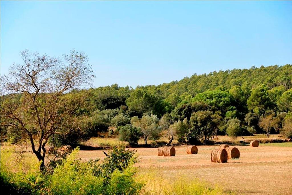 Can Barrull-Costa Brava-Emporda Sant Feliu de Boada Zimmer foto